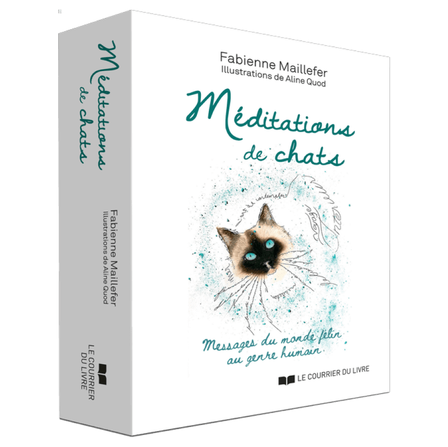 coffret 3D contenant des messages félins
