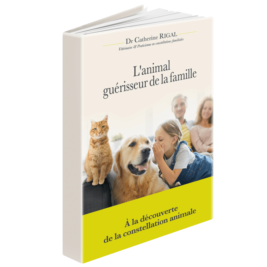 Vignette3d-lanimal-guerisseur