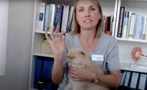 image d'une femme parlant avec un chat sur les genoux
