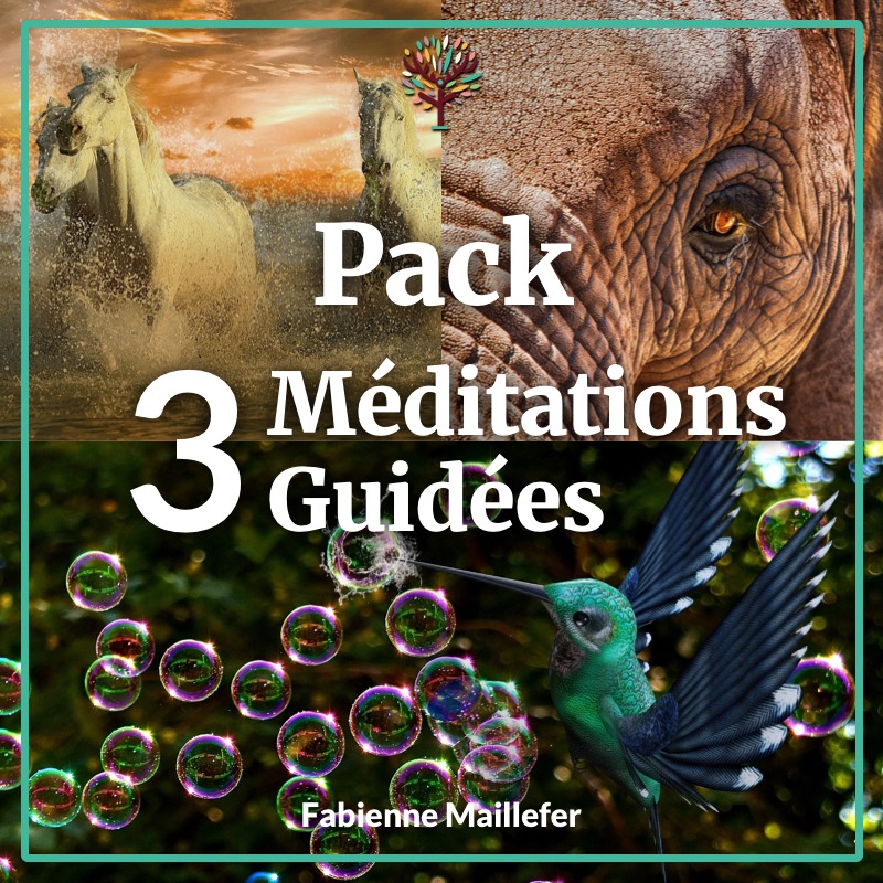 Pack de 3 Méditations