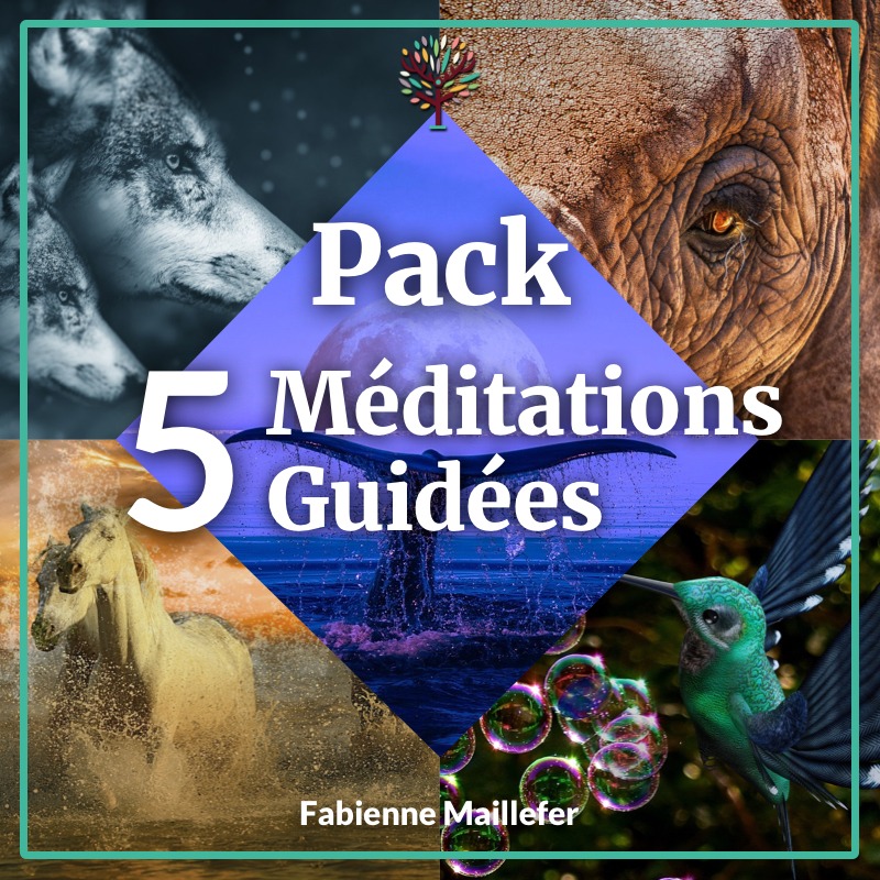 Pack de 5 Méditations