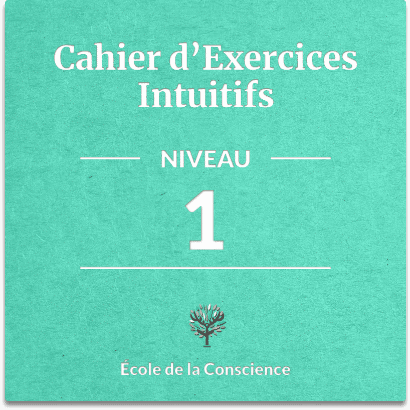 Vignette-Cahier-niveau-1-v2