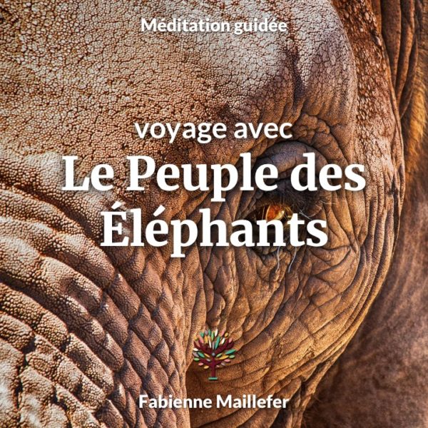 Voyage avec le Peuple des Éléphants
