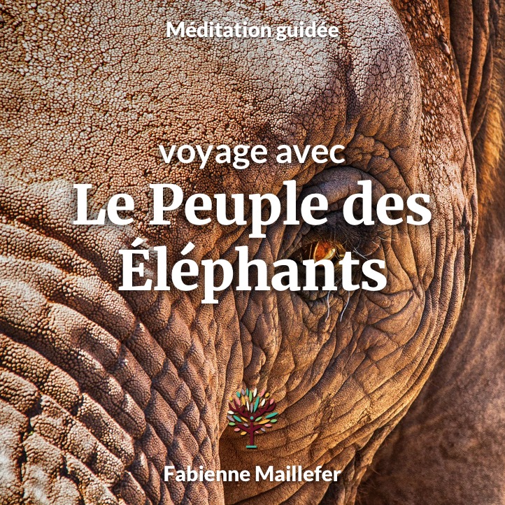 Voyage avec le Peuple des Éléphants