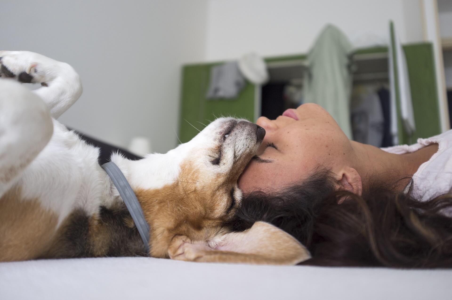 femme allongé tete contre tete de son chien