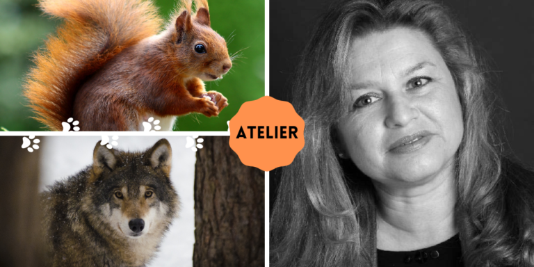 Développer la communication animale intuitive avec les animaux sauvages