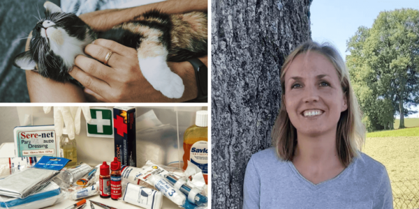 chat couché / femme souriante / matériel médical