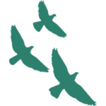 3 oiseaux verts