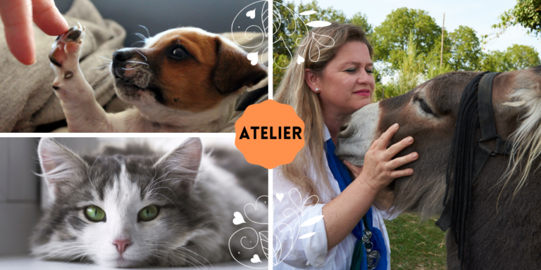 Approfondir la communication animale intuitive avec son animal