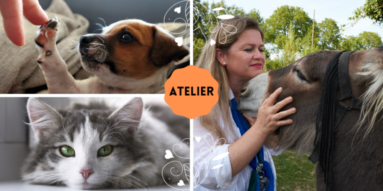 La communication intuitive avec son propre animal