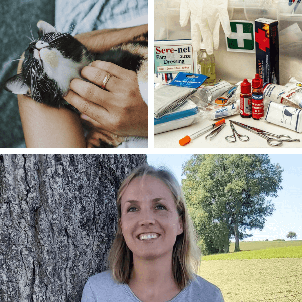 montage de 3 photos , une photo de chat, une photo de matériel médicale, une photo de femme souriante