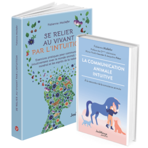 2 livres en 3D bleu et blanc