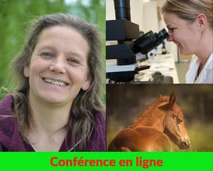 femme souriante, femme devant un microscope et un cheval
