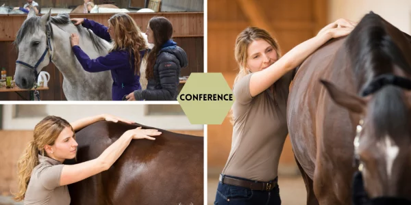 La fasciathérapie pour le bien-être de mon cheval
