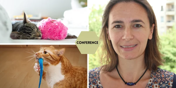 Mieux comprendre les comportements de son chat