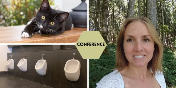 Comprendre et soigner les problèmes rénaux et urinaires chez les chats