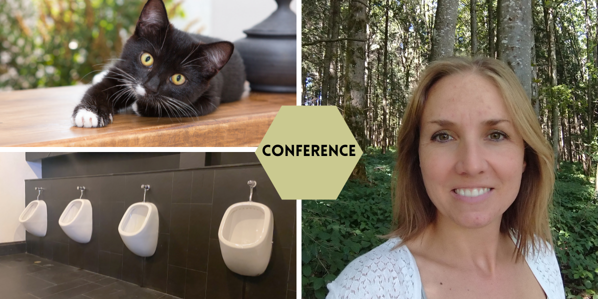 Comprendre et soigner les problèmes rénaux et urinaires chez les chats