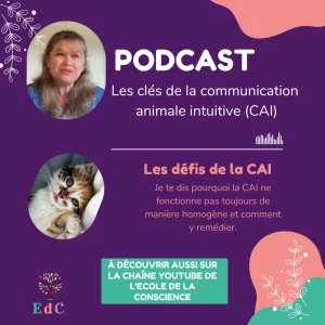 poster violet pour mettre en avant un podcast