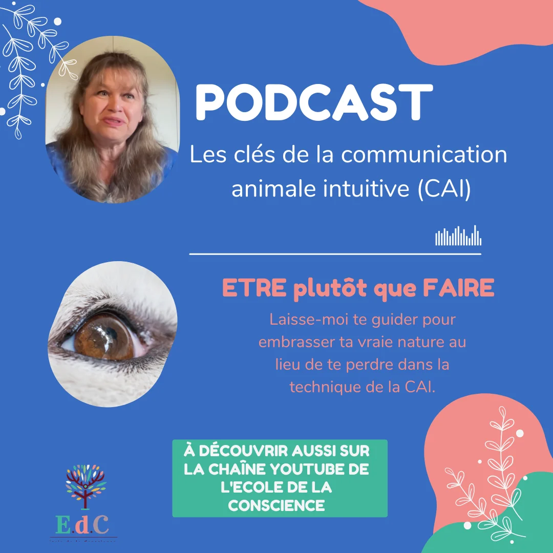 illustration avec fond bleu texte et CTA