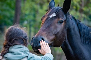 La Communication animale sur Radio Associations