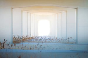 L’essentiel et les pourquoi