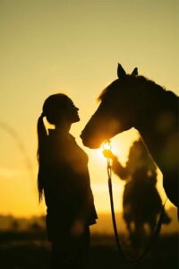 Qu’est-ce que la communication animale ?