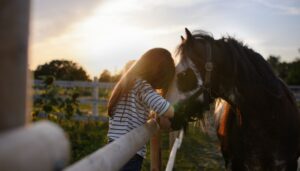 Communicatrice animale : attirer des clients